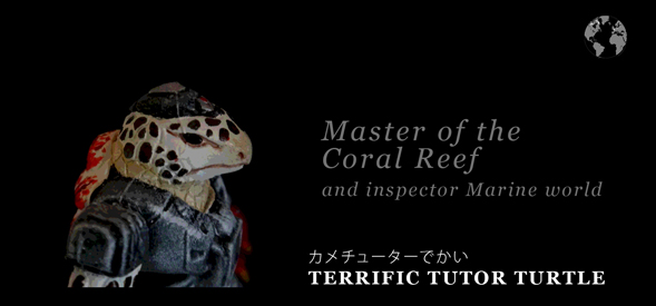terrific-tutor-turtle-id-lrg.jpg